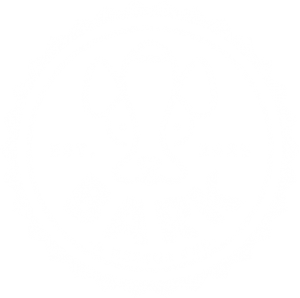 Bark-Trans-Logo-e1592197287857